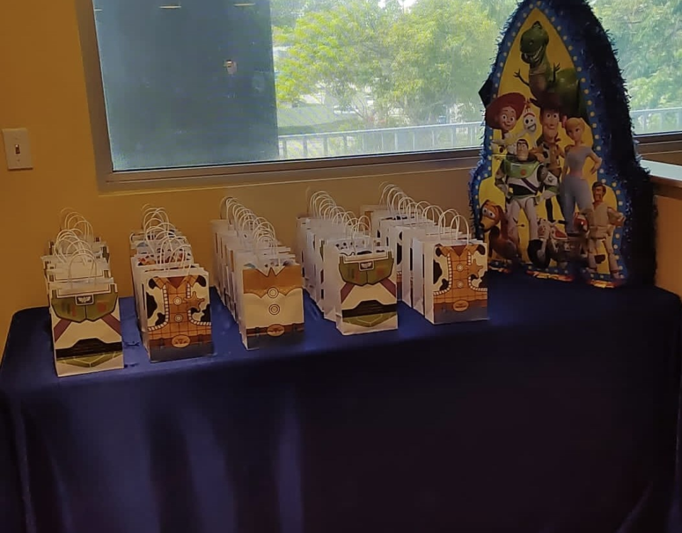 Goodie bags in a themed birthday party